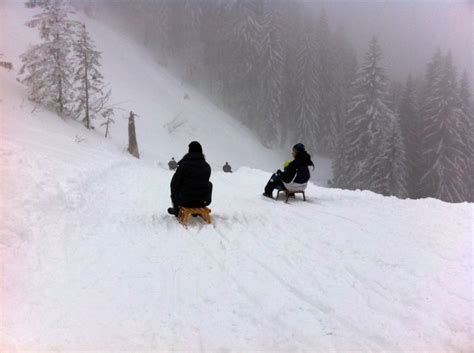 Sledding on Germany's Longest Toboggan Run