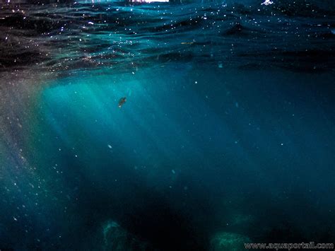 Partager Images Peur De Ne Pas Voir Le Fond De L Eau Fr