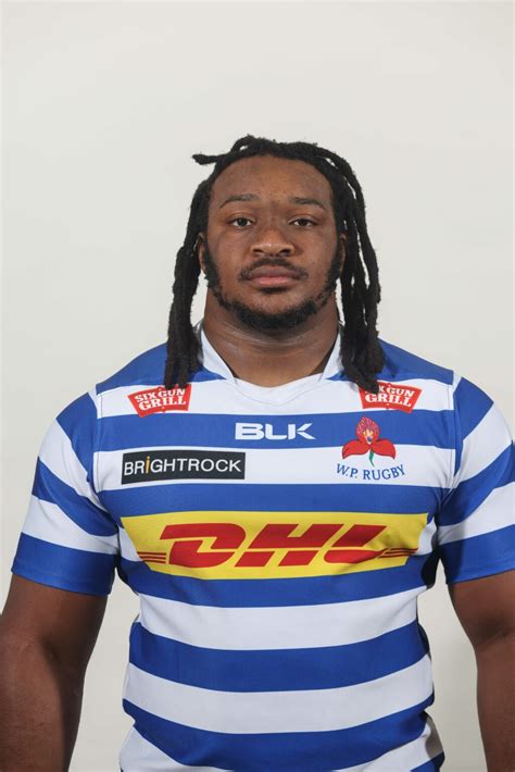 Wp Rugby Dhl Western Province Squad