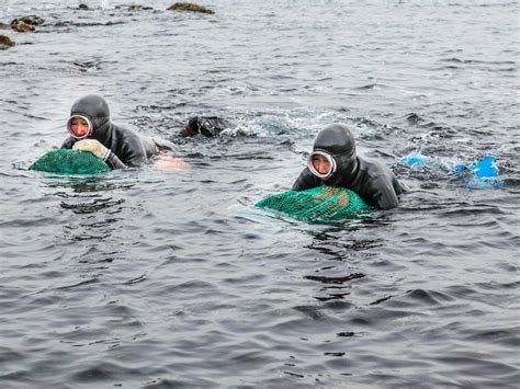 Stunning Photos Of Haenyo The Last Generation Of Deep Sea Diving