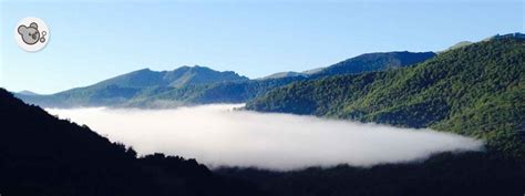 Parque Nacional de los Picos de Europa 101 años de naturaleza