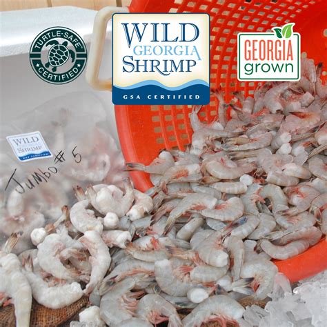 Wild Georgia Shrimp Iqf — Anchored Shrimp Co