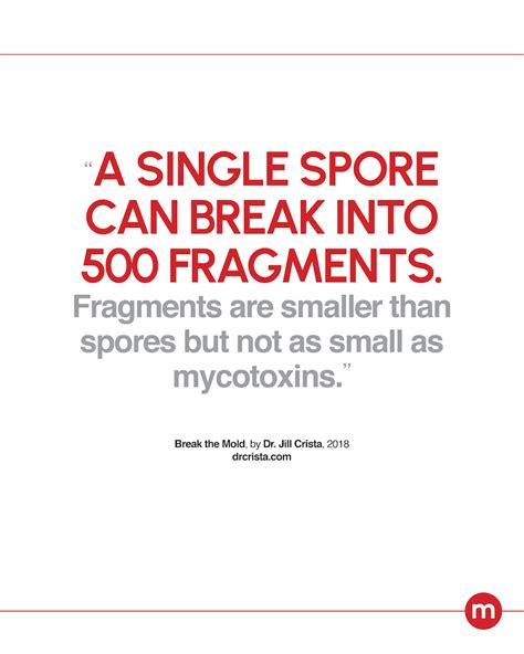 Size of Mold Spores – Moldli