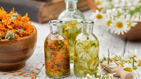 How To Make Herb Infused Oils ~ Healthprimitive