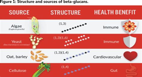 Beta Glucans A Crucial Weapon To Modulate Poultry Immune System