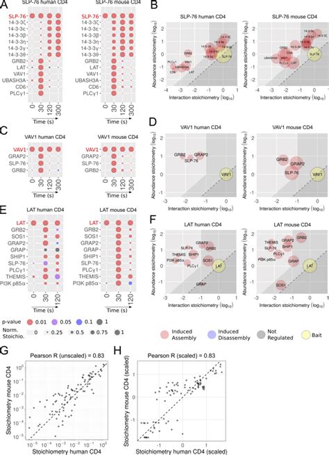 Comparative Analysis Of The Slp 76 Vav1 And Lat Interactomes Of