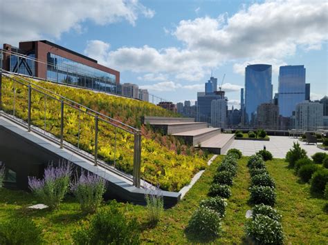 Liveroof Green Roof Systems Natural Function Natural Beauty