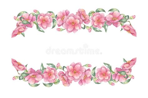 Rectangular Frame Made Of Delicate Pink Camellia Flowers Green Leaves