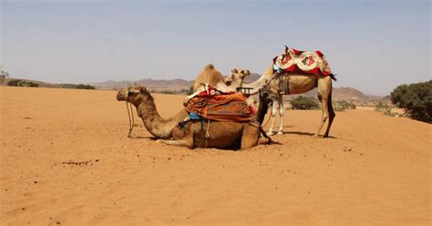 Da Agadir Gita Di Un Giorno Nel Deserto Del Sahara In Jeep 4 4