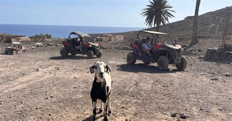 Fuerteventura Wycieczka buggy na południu wyspy GetYourGuide