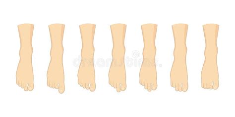 Foot Toe Shape Types Set Stock Vector Illustration Of Footprint