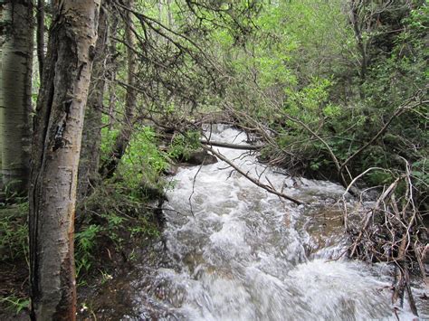 Sangre De Cristo Wilderness Colorado Lohnt Es Sich Mit Fotos