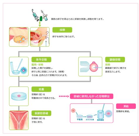 高度不妊治療 親愛産婦人科