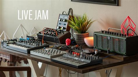 Live Jam With Moog Subharmonicon Elektron Model Cycles Arturia