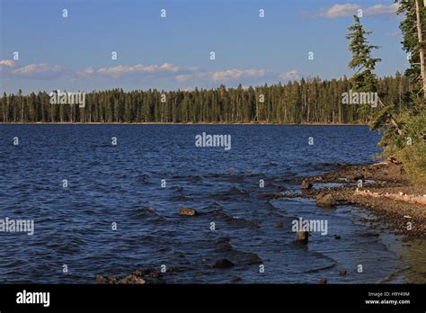 yellowstone Lewis Lake Stock Photo - Alamy