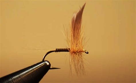 How To Tie A Ginger Quill Midcurrent