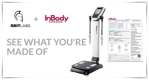 Where To Get A Body Composition Scan Lindy Health