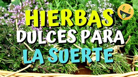 Hierbas Dulces Para Ba Os De La Suerte Hierbas Dulces