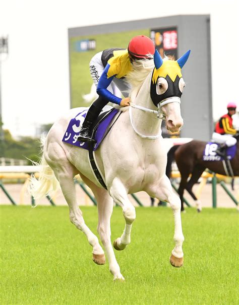 ソダシが“夏休み”のため栗東トレセンを退厩 7月引退の今浪厩務員とお別れ 競馬写真ニュース 日刊スポーツ