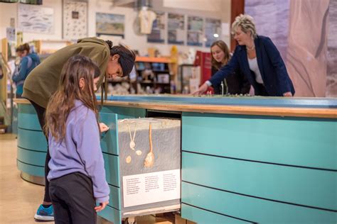 Ausstellung Nationalpark Wattenmeer