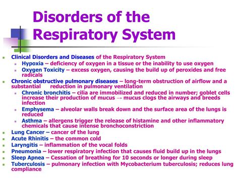 Ppt Respiratory System Powerpoint Presentation Free Download Id