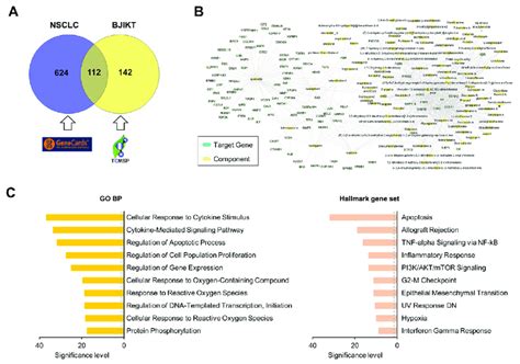 Network Pharmacological Analysis Of Bjikt On Nsclc A Venn Diagram Download Scientific