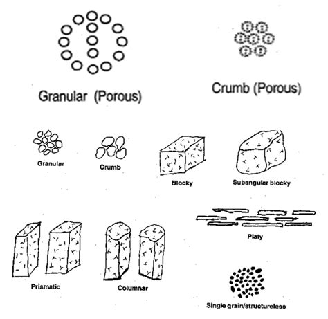 Soil Structure