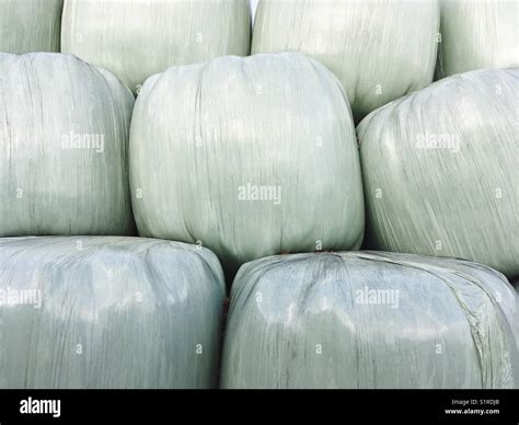 Stacked Silage Hay Bales Wrapped In White Plastic Foil Stock Photo Alamy