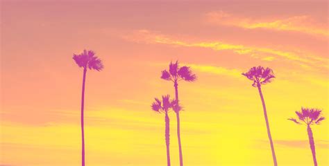 Tropical Palms Along Californian Beaches Stock Photo - Download Image Now - Above, Backgrounds ...