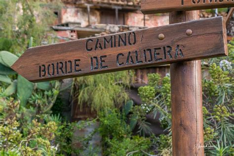 Gran Canaria Un Paisaje Por Descubrir Ruta Borde Caldera Bandama