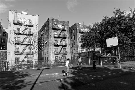 A Tribute To The South Bronx The New York Times