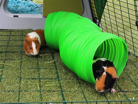 Snugglesafe Extending Bunny And Guinea Pig Warren Rabbit Toys