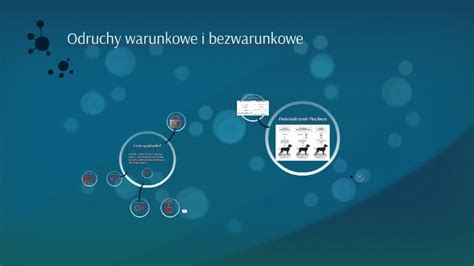 Odruchy Warunkowe I Bezwarunkowe By Zuzanna Augustyniak On Prezi