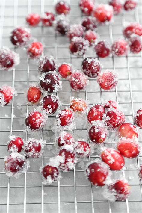 Eggnog Panna Cotta With Spiked Cranberry Sauce Sprinkle Bakes