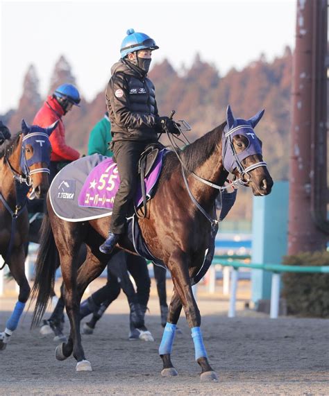 【京都記念】昨年のオークス馬ユーバーレーベンはbダートコースで好気配 手塚調教師「雰囲気はすごくいい」 Umatoku 馬トク