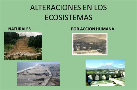 LAS ALTERACIONES DEL ECOSISTEMA