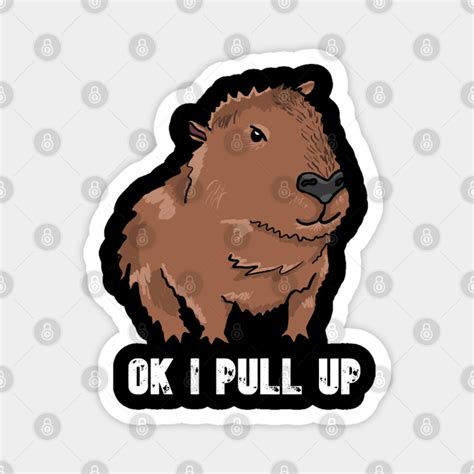 Ok I Pull Up Capybara Meme Capybara Magnet TeePublic