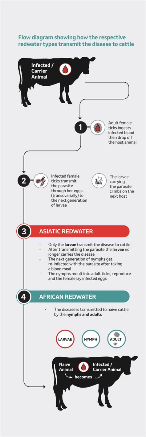 Raising The Red Flag Understanding Redwater And Immunity Farmspace