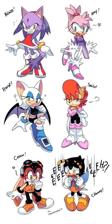 Amy Rose Blaze The Cat Rouge The Bat Cream The Rabbit Sally Acorn And 1 More Sonic And 1