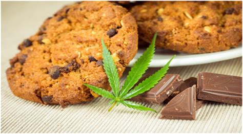 Cbd Chocolate Chip Cookies Epizy Magazine