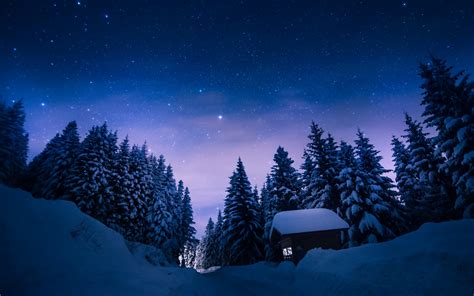 129382 Frosted Trees Cabin Snowfall Winter Forest Pine Trees