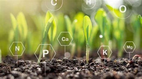 Mengenal Carbon Farming Teknik Pertanian Yang Bisa Selamatkan Lingkungan