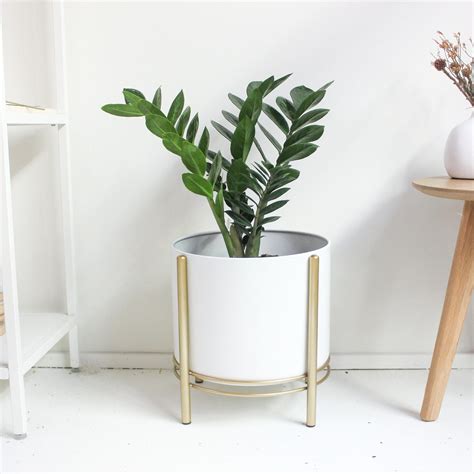 The Best Gold Plant Stands