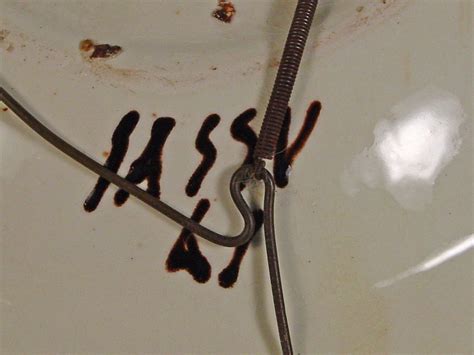 aligi sassu wall plate  sale  stdibs