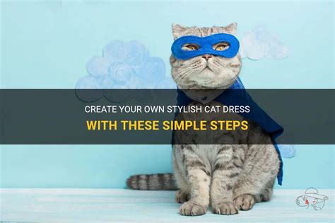 Create Your Own Stylish Cat Dress With These Simple Steps Shunvogue