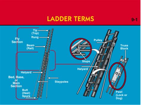 Trussed Beam Ground Ladder The Best Picture Of Beam