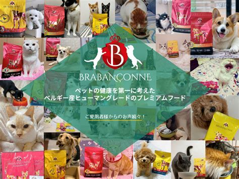 Wepet Japanブラバンソンヌ 大型犬 中型犬 成犬用 グレインフリー ドッグフード オーシャンフィッシュ 10kg 消化器ケア 尿路