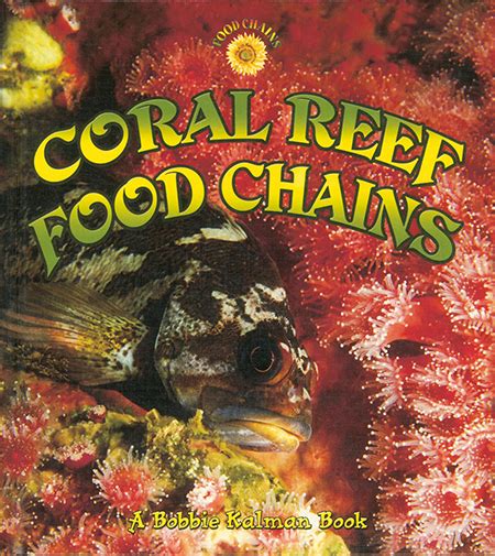 Coral Reef Food Chains Crabtree Publishing