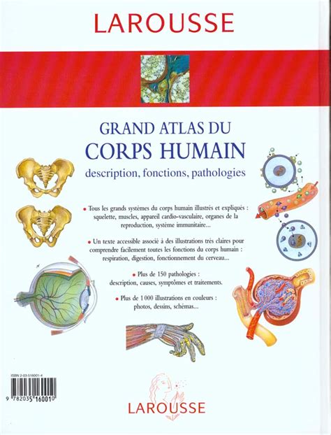 Grand atlas du corps humain Collectif 2035160014 Livre Santé