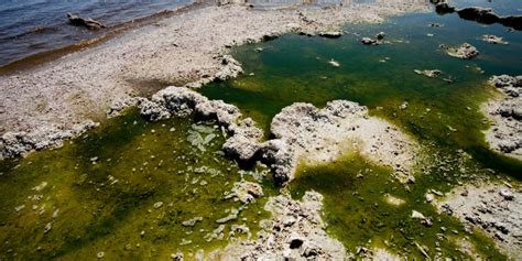 Como Prevenir La Contaminación Del Agua Colombia Verde